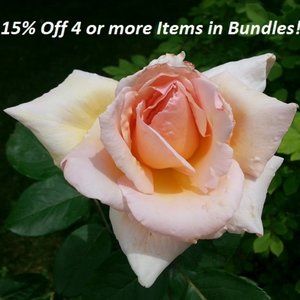 Bundle 4 or more Items  get 15% off total 😊👍
